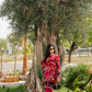 Fuchsia Pink Floral Palachi Velvet Box Shirt with Balloon Pants
