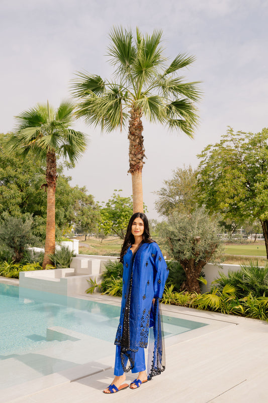 Royal Blue Mirrorwork Suit